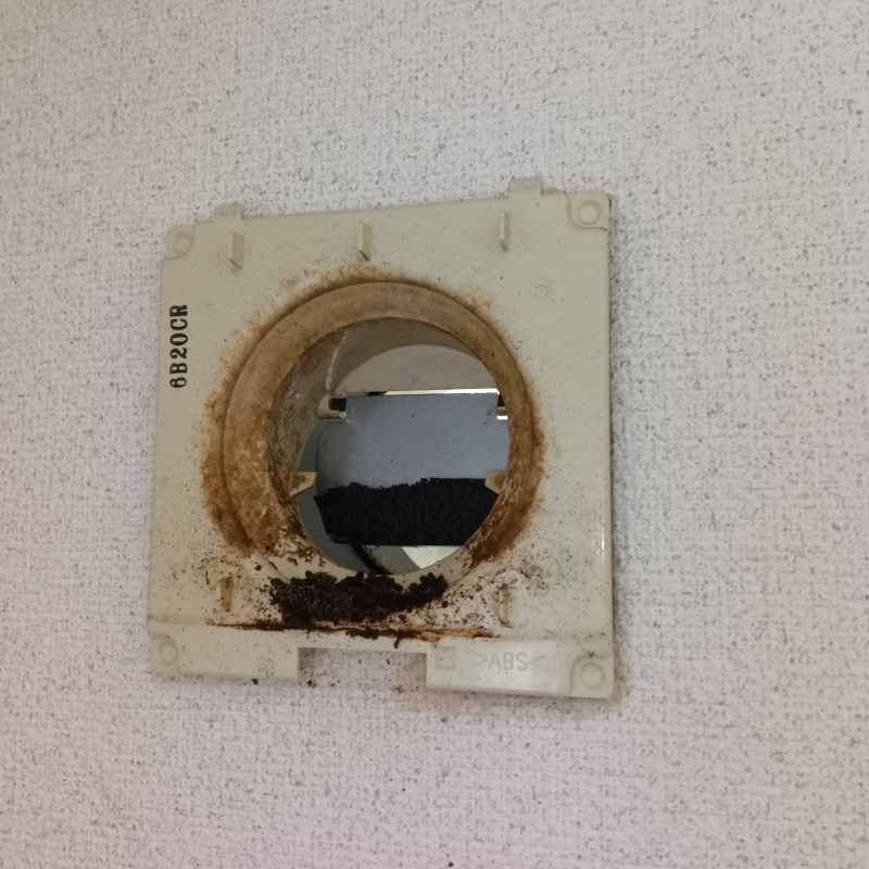 コウモリ駆除の施工事例（新潟県上越市大潟区犀潟）