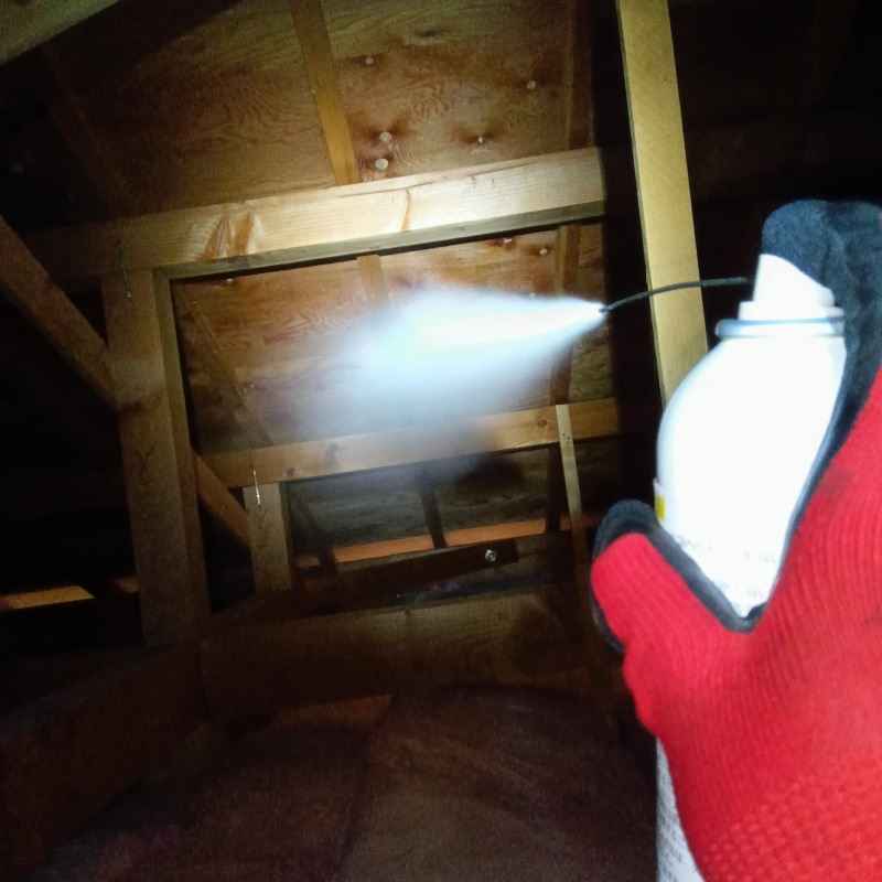 屋根裏に忌避スプレーを散布