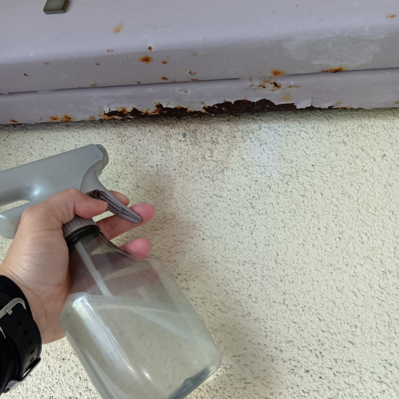 コウモリの侵入口に除菌剤をスプレー