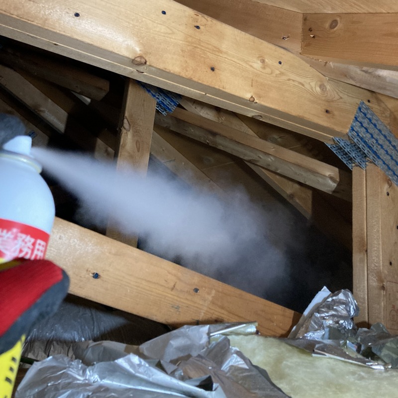 屋根裏に忌避スプレーを散布