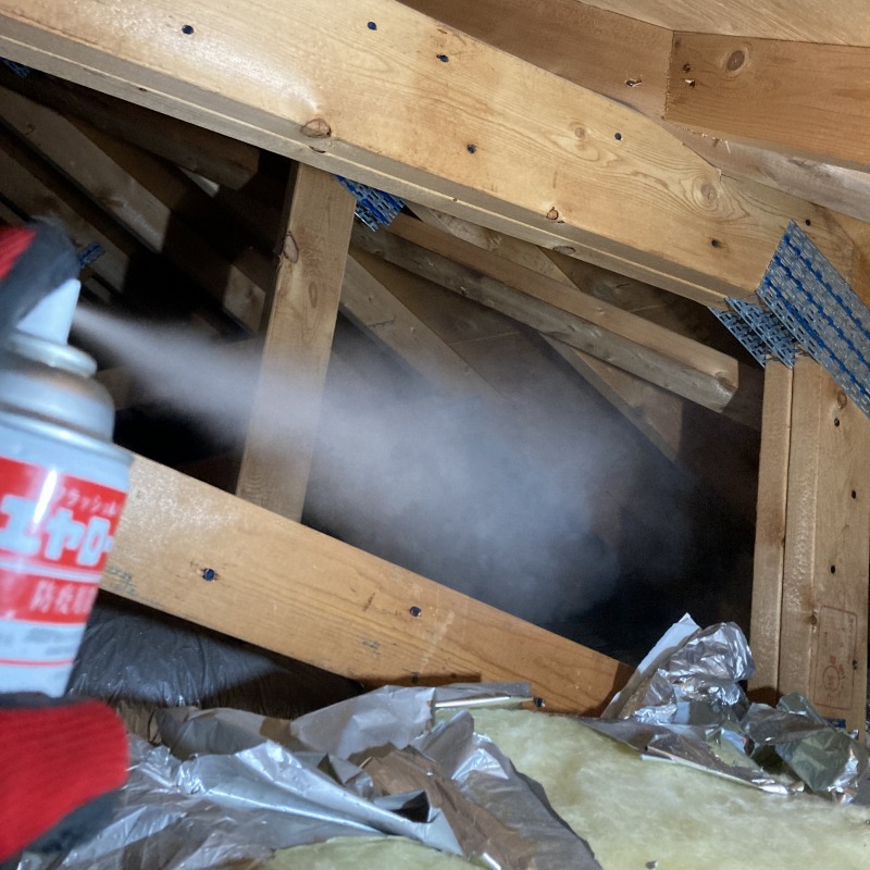 殺虫スプレーを散布