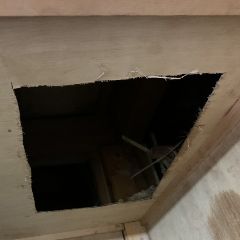 天井板を切り抜いた様子