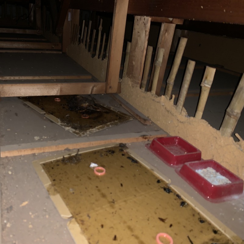 粘着シートを設置した様子