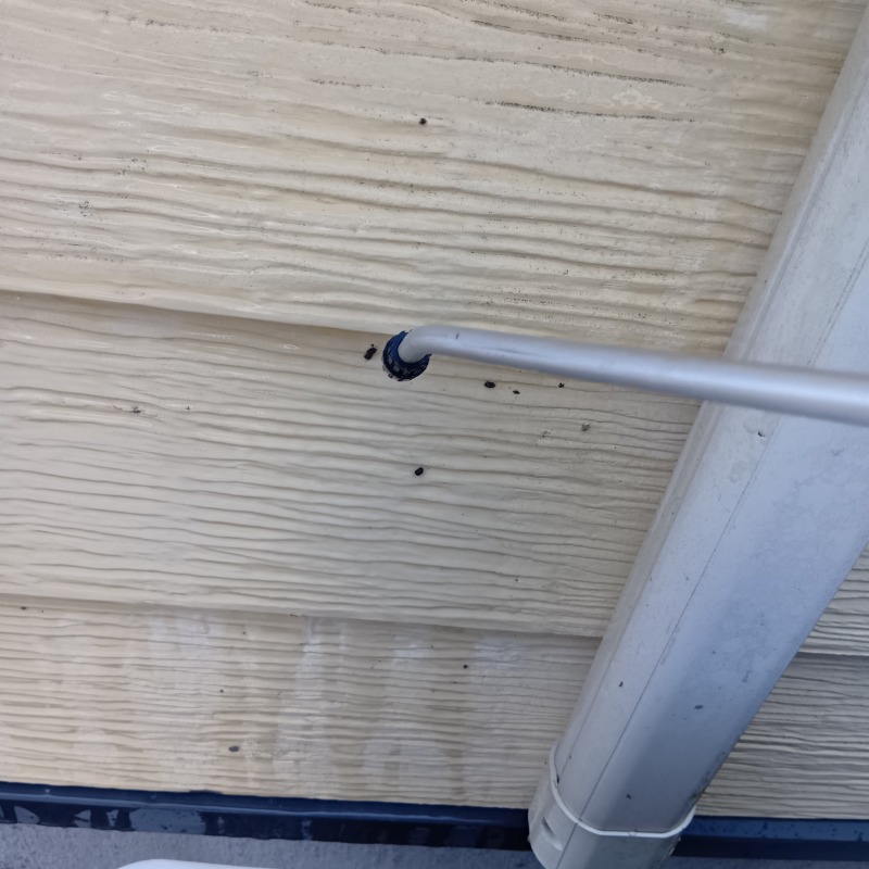 外壁のフン汚れを清掃・除菌