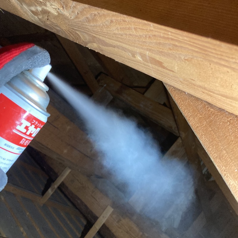 殺虫スプレーを散布