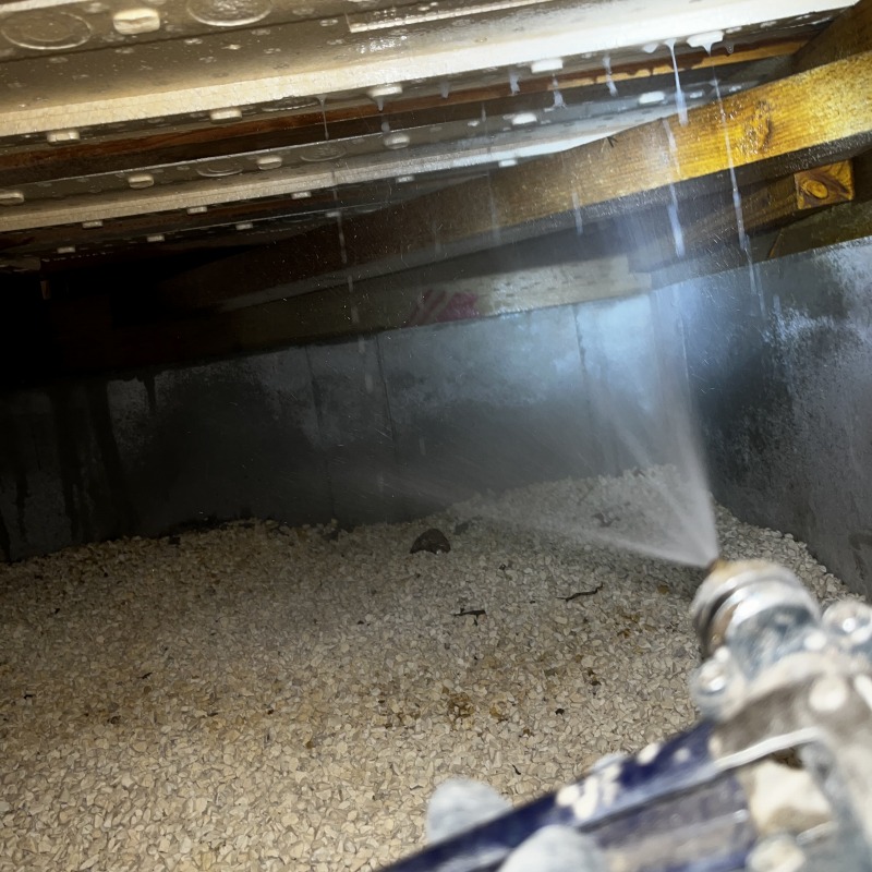 木部処理をおこなう様子