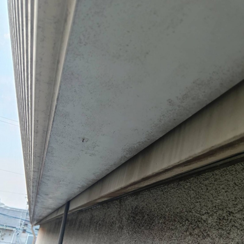 コウモリ駆除の施工事例（愛知県みよし市三好丘）