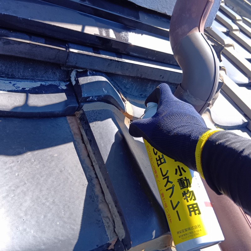屋根瓦のすき間から忌避スプレーを散布
