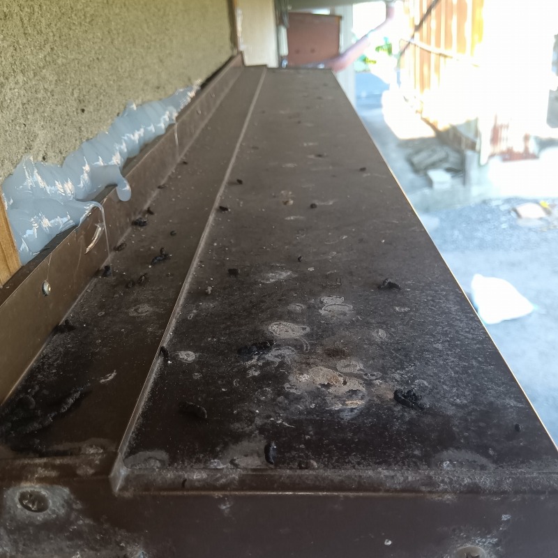 ひさしの上のフン害