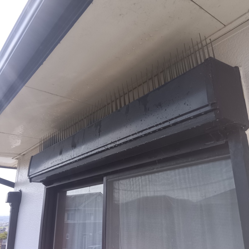 鳩対策の施工事例（兵庫県小野市王子町）