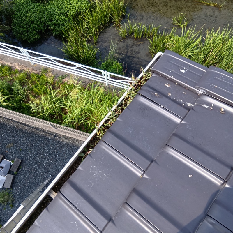 鳩対策の施工事例（静岡県浜松市浜名区小松）