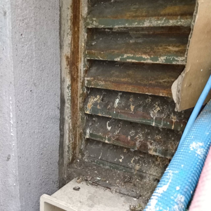 鳩対策の施工事例（愛知県名古屋市中区東桜）