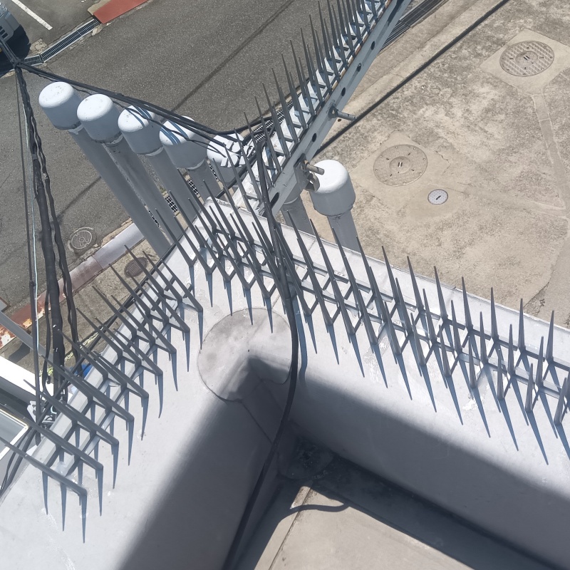 屋上に剣山を設置した様子