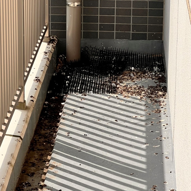 鳩対策の施工事例（茨城県日立市会瀬町）