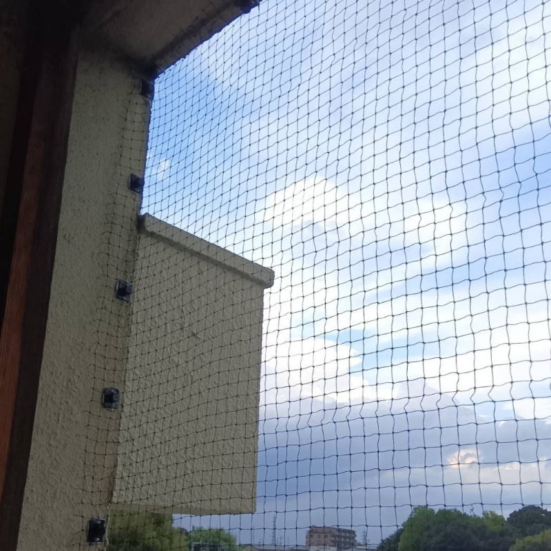 ベランダに防鳥ネットを設置した様子