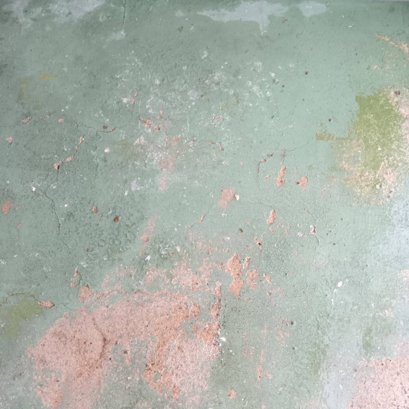 フンを清掃・除菌した床