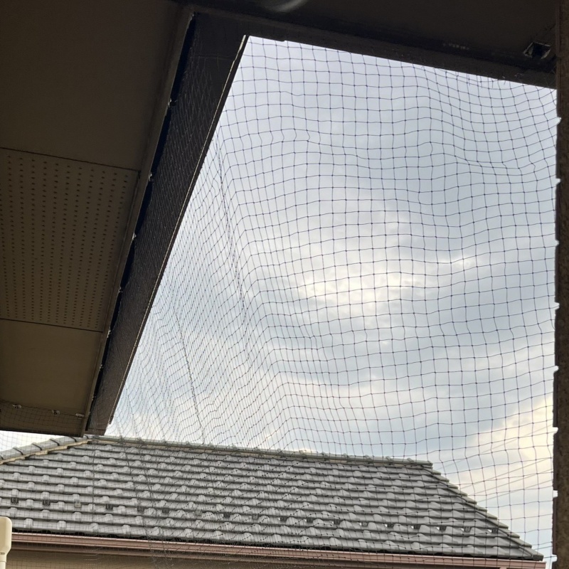 ベランダに防鳥ネットを設置