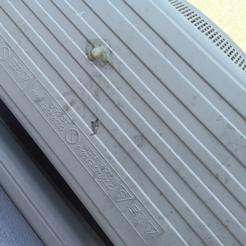 鳩対策の施工事例（滋賀県大津市今堅田）