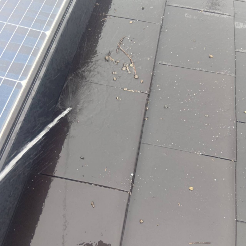 屋根のフン害を清掃・除菌