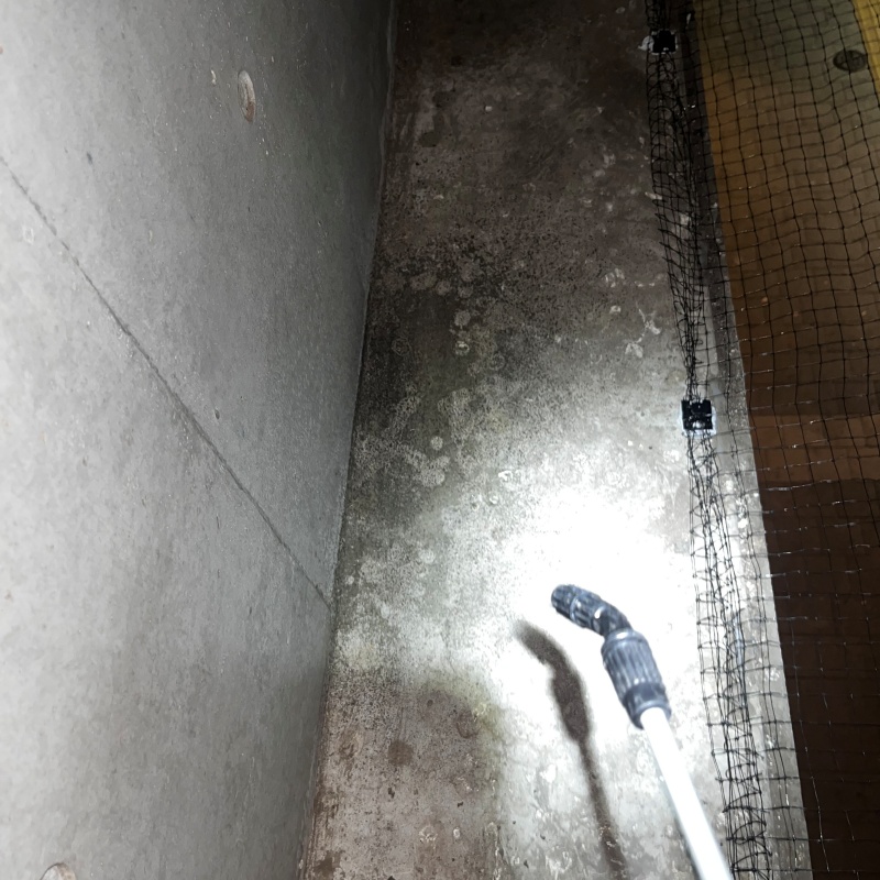 看板上のフン害を清掃・除菌