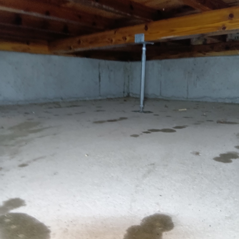 防蟻剤散布が完了した様子