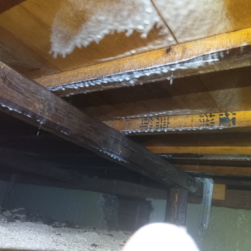 木部処理が完了した様子