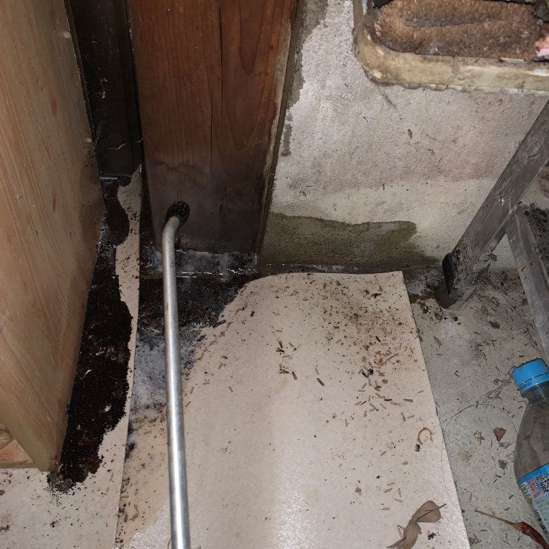 柱に穴を開けてシロアリ駆除剤を注入