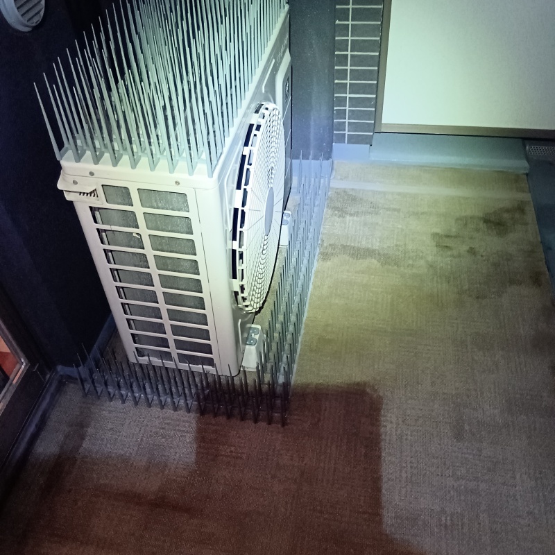 室外機の上とまわりに剣山を設置した様子