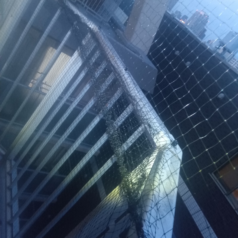 ベランダに防鳥ネットを設置した様子