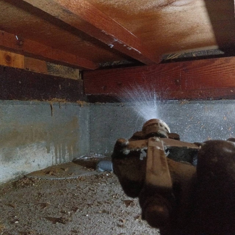 床下の木材にシロアリ駆除剤を散布