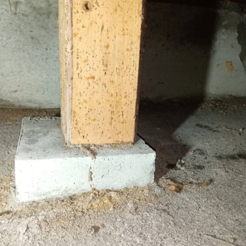 床下の束柱。蟻道が見られる。