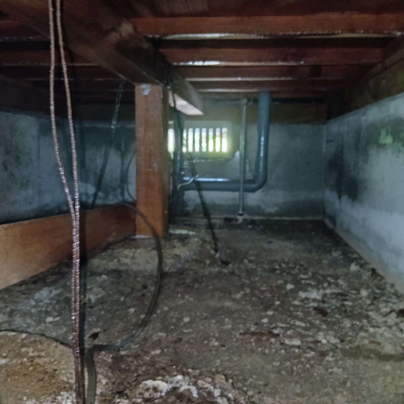 薬剤散布が完了した様子