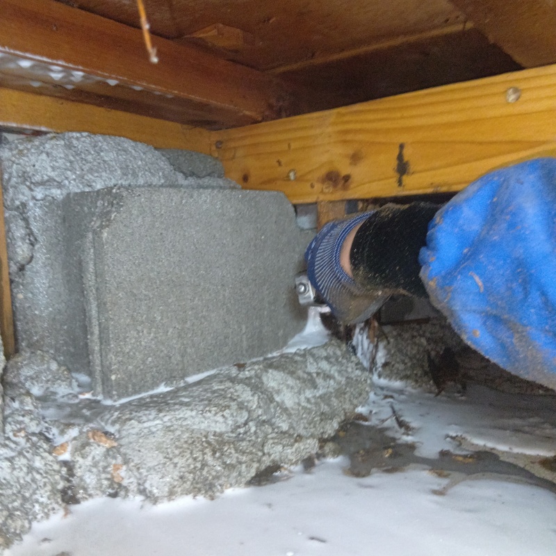 束石付近にシロアリ駆除剤を散布