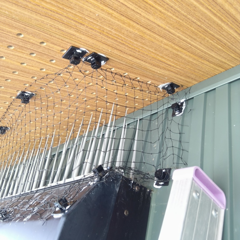 防鳥ネットを設置した様子