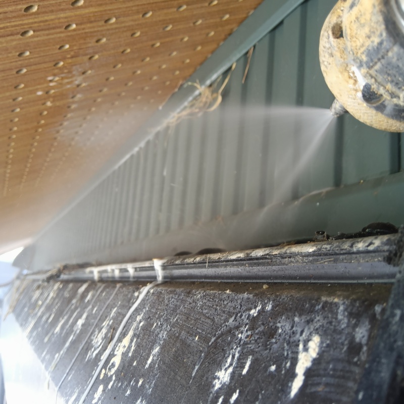 ひさしのフン害を清掃・除菌