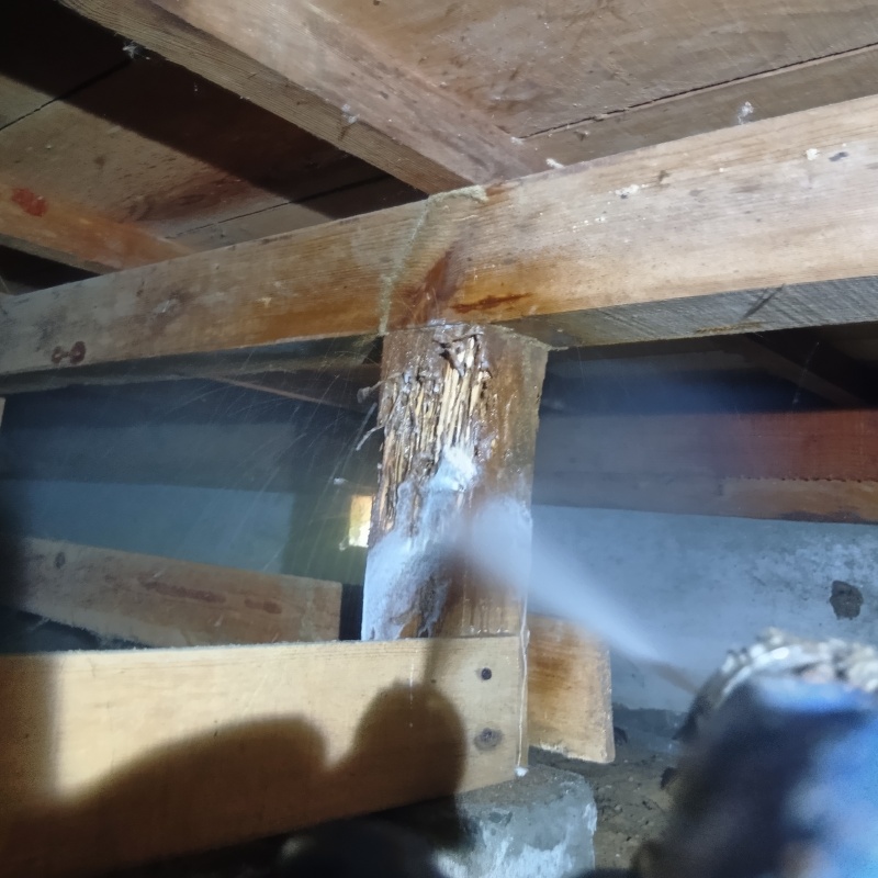 束柱付近にシロアリ駆除剤を散布