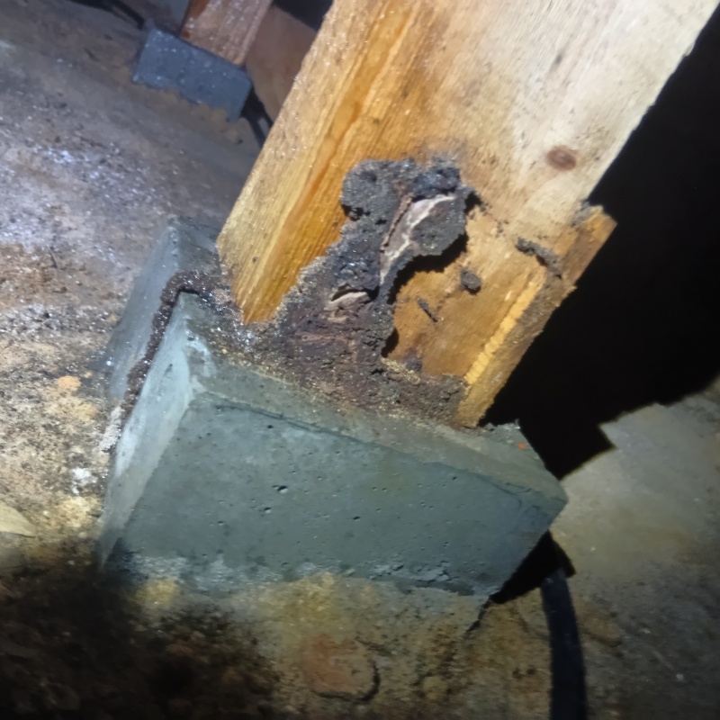 束石付近にシロアリ駆除剤を散布した様子