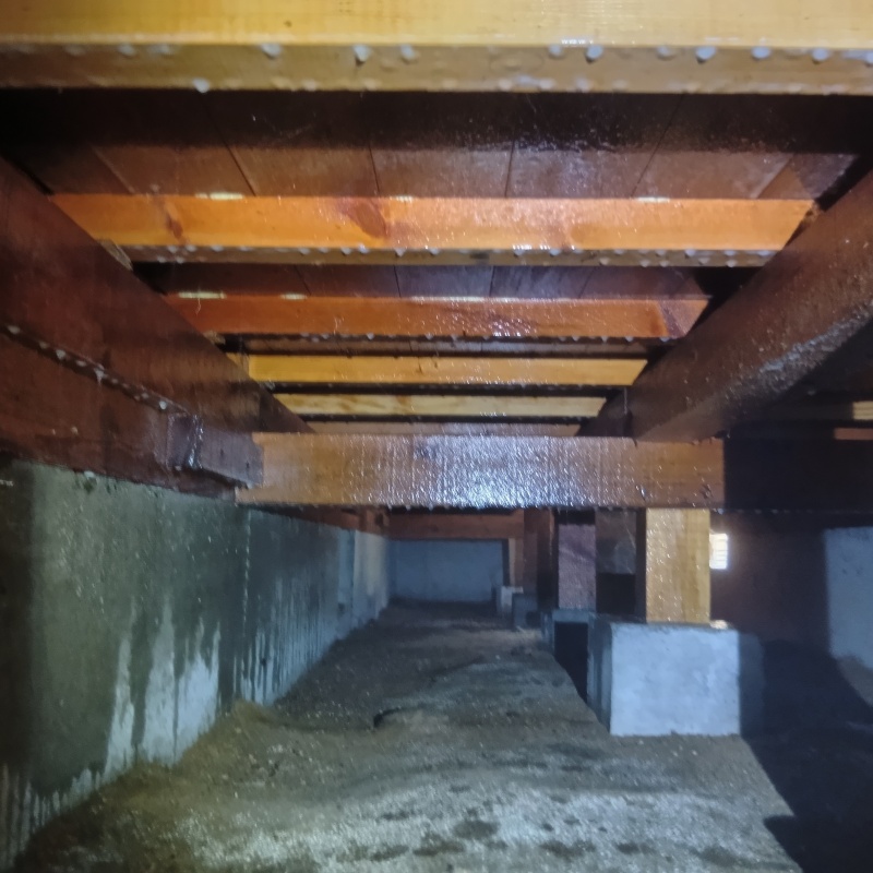 薬剤散布が完了した様子