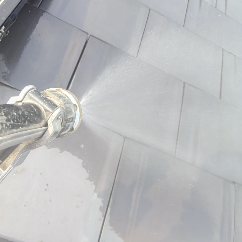 屋根のフン害を清掃・除菌