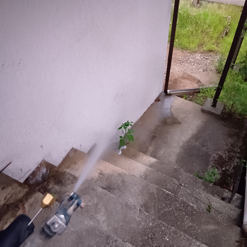 建物外周に防蟻剤を散布