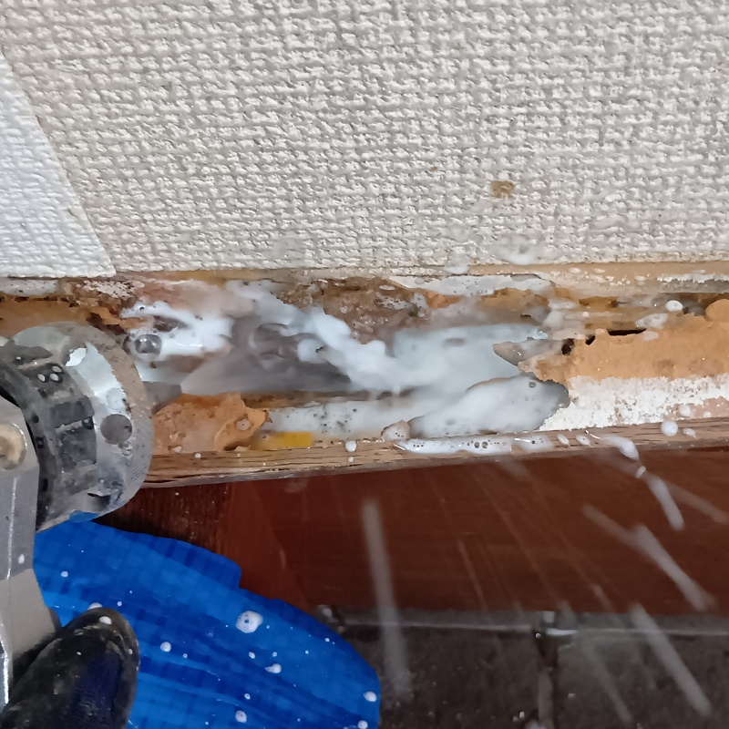 壁の木材の内部にシロアリ駆除剤を散布