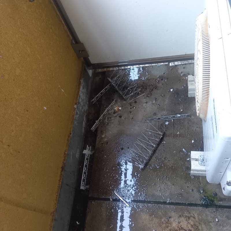 室外機まわりのフンを清掃する様子