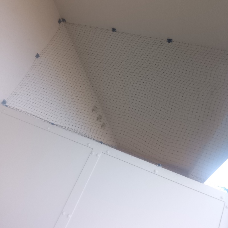 ベランダに防鳥ネットを設置した様子