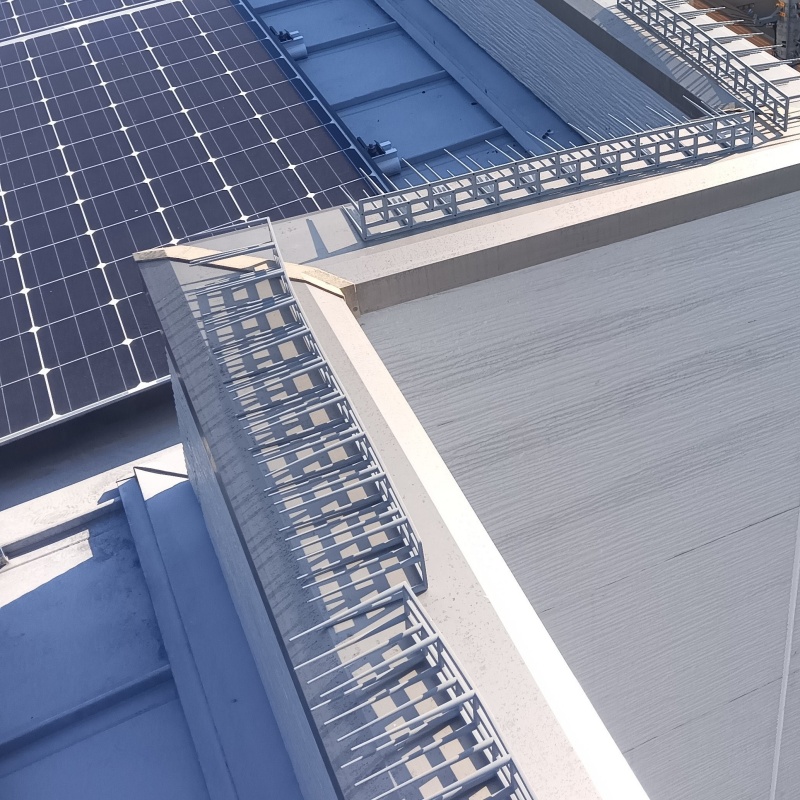 太陽光パネルのまわりに剣山を設置した様子