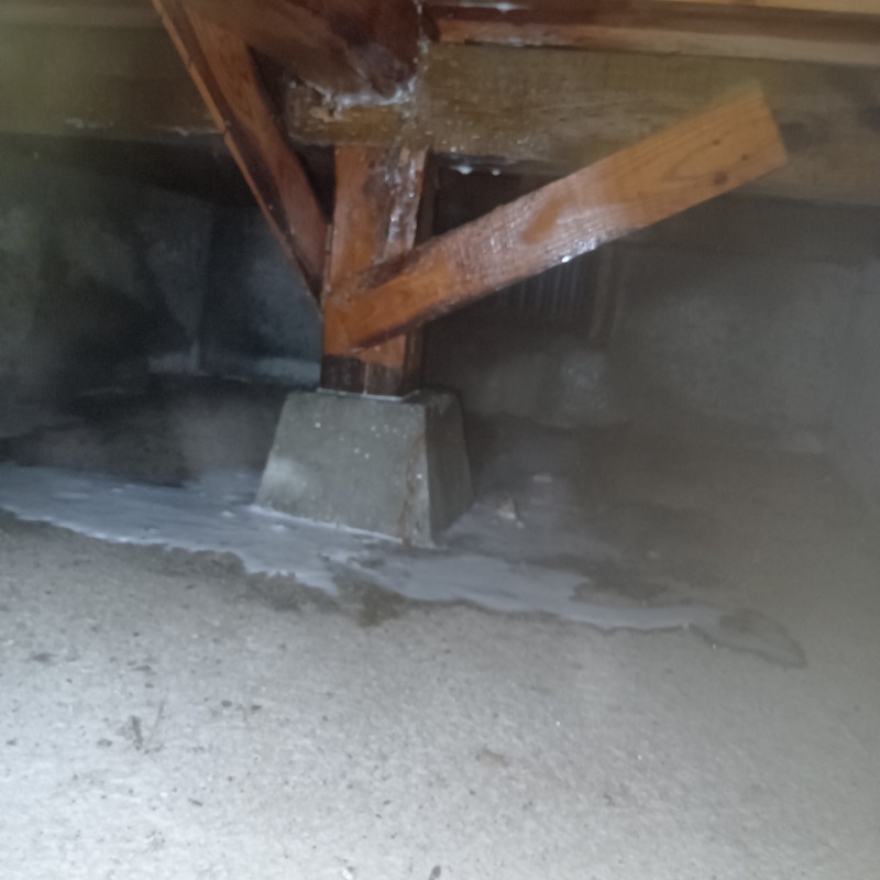 土壌処理が完了した様子