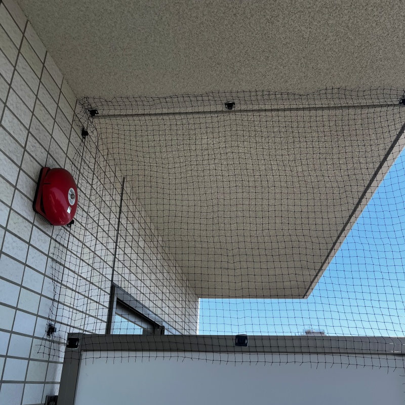 防鳥ネットを設置した様子