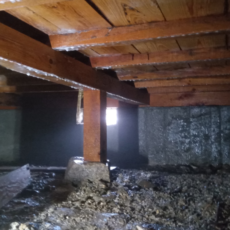 床下にシロアリ駆除剤をまんべんなく散布した様子