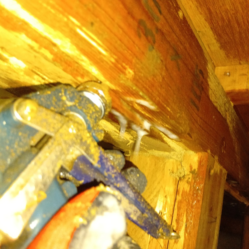 傷んだ木材にシロアリ駆除剤を注入