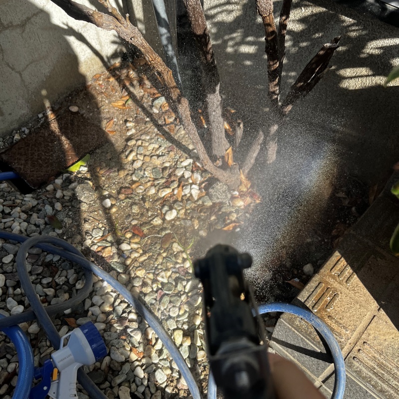 植木にシロアリ駆除剤を散布