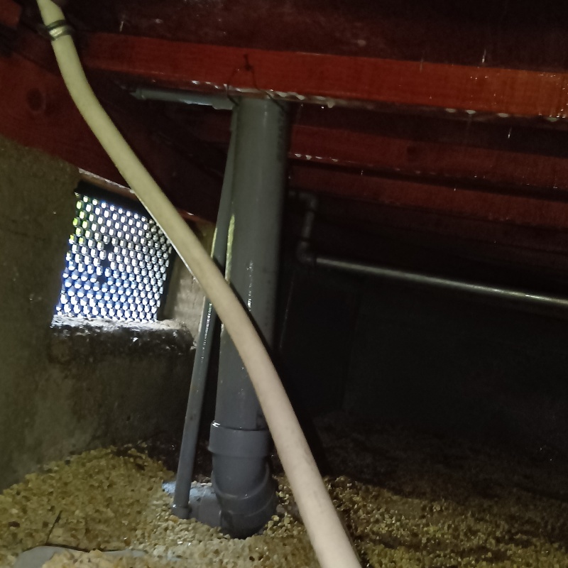 防蟻剤を散布したあとの様子